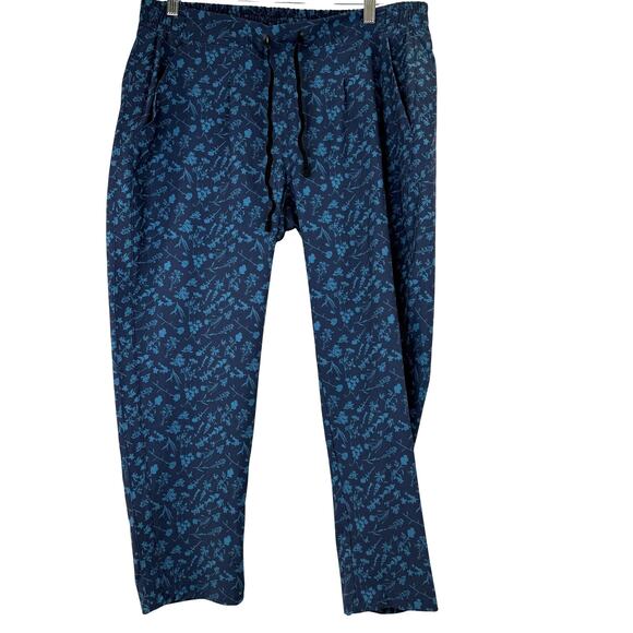 Backcountry Pants - Backcountry Women's Blue Floral On The Go Ankle Hiking Pants Size Large
